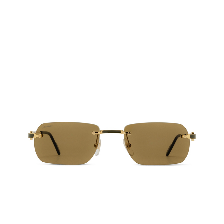 Lunettes de soleil Cartier CT0498S 005 gold - 1/4