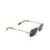 Lunettes de soleil Cartier CT0499S 001 gold - Vignette du produit 2/5