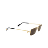 Lunettes de soleil Cartier CT0501S 001 gold - Vignette du produit 2/4