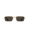 Lunettes de soleil Cartier CT0501S 005 gold - Vignette du produit 1/4