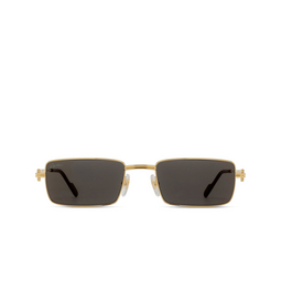 Gafas de sol Cartier CT0501S 005 gold