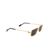 Lunettes de soleil Cartier CT0501S 005 gold - Vignette du produit 2/4