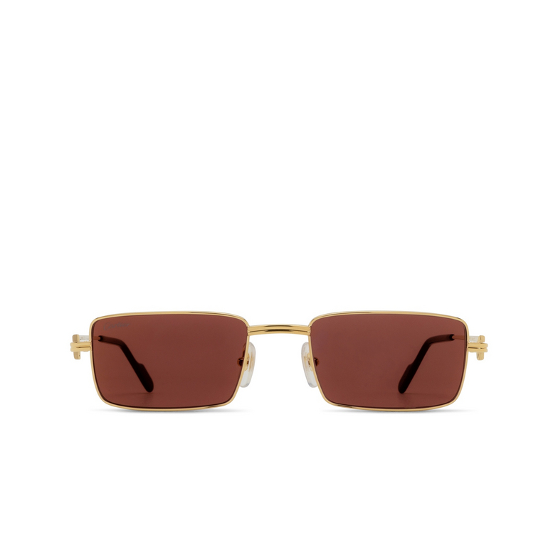 Cartier CT0501S Sunglasses 006 gold - 1/4