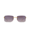 Lunettes de soleil Cartier CT0503S 003 gold - Vignette du produit 1/4