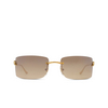 Lunettes de soleil Cartier CT0503S 004 gold - Vignette du produit 1/4