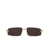 Occhiali da sole Cartier CT0505S 001 gold - anteprima prodotto 1/4