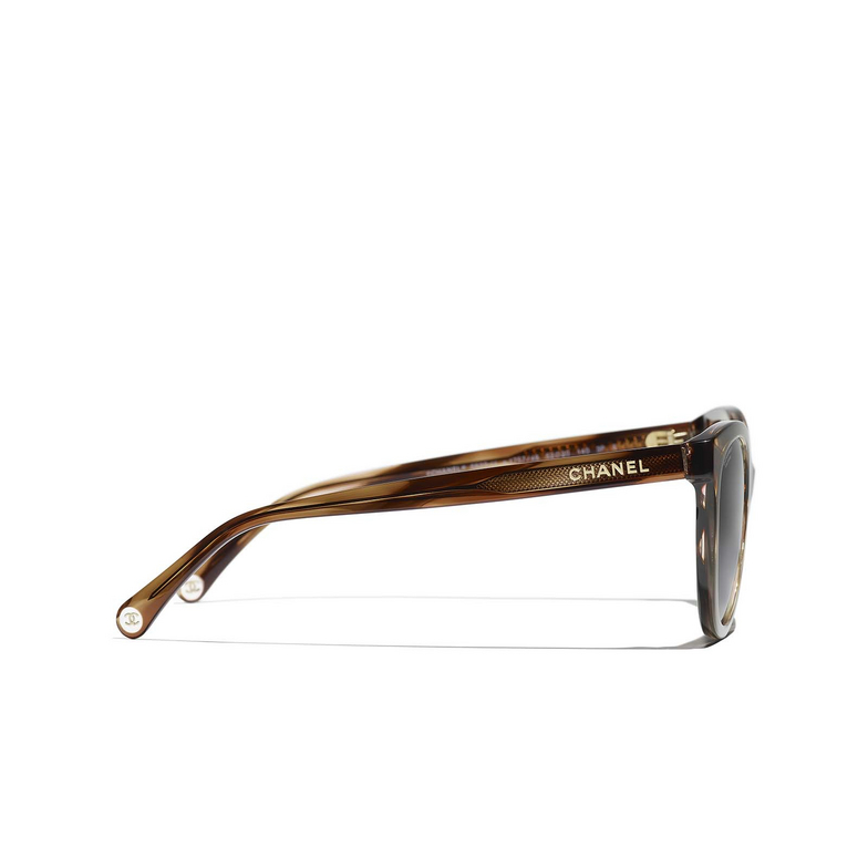 CHANEL pantos Sunglasses 175748 striped brown