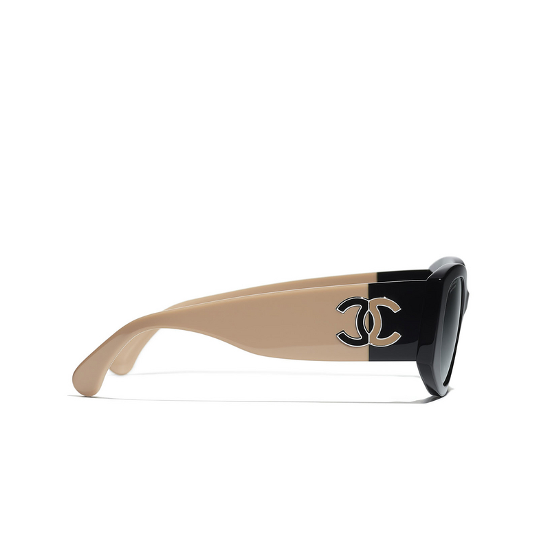 CHANEL oval Sunglasses C534S8 black