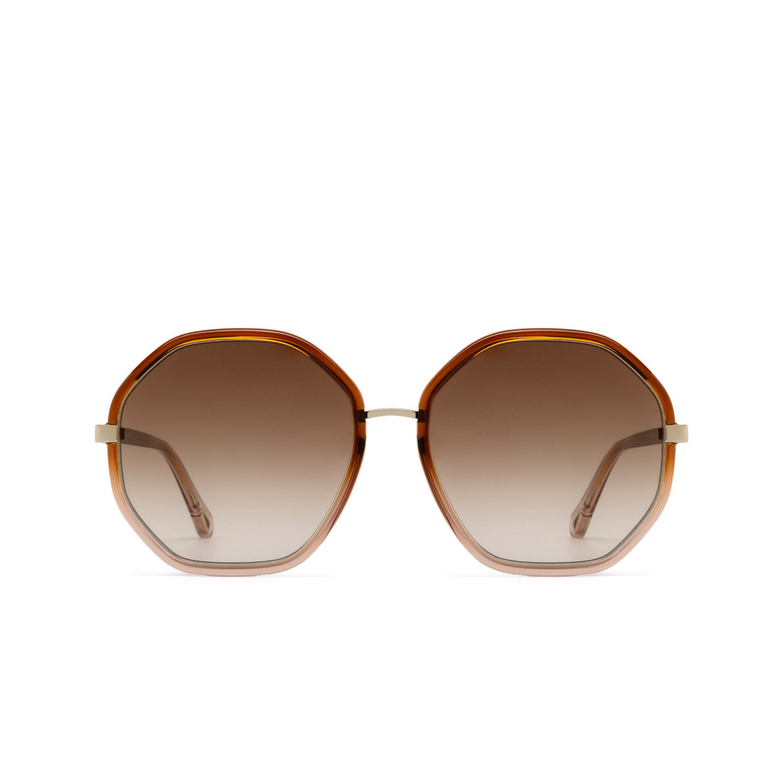 Chloé CH0133SA round Sunglasses 002 brown - 1/5
