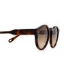 Gafas de sol Chloé CH0158S 002 havana - Miniatura del producto 3/5