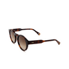 Chloé CH0158S round Sunglasses 002 havana - product thumbnail 4/5