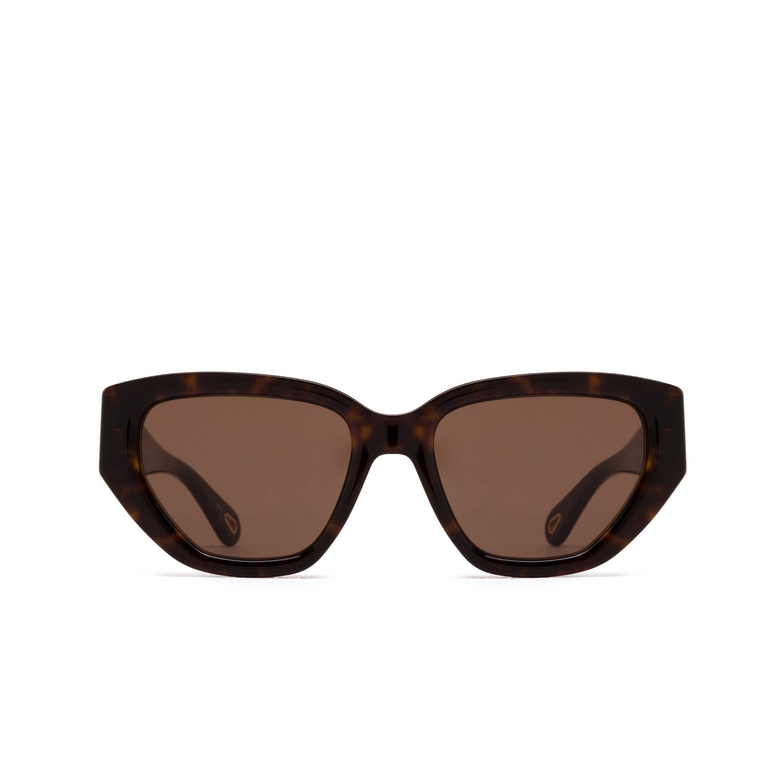 Chloé CH0235S cateye Sunglasses 002 havana - 1/6