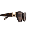 Chloé CH0235S cateye Sunglasses 002 havana - product thumbnail 3/6