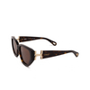 Chloé CH0235S cateye Sunglasses 002 havana - product thumbnail 4/6