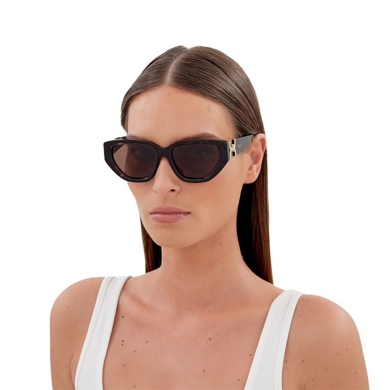 Chloé CH0235S cateye Sunglasses 002 havana - 6/6