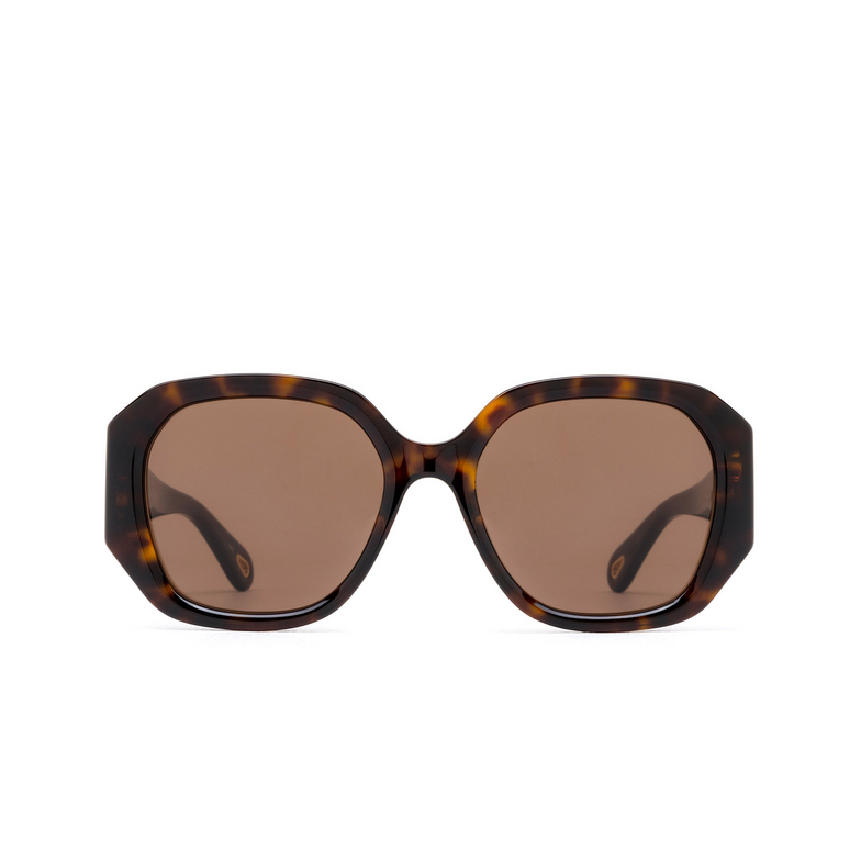 Lunettes de soleil Chloé CH0236S 002 havana - 1/5