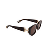 Chloé CH0237SK square Sunglasses 002 havana - product thumbnail 2/6