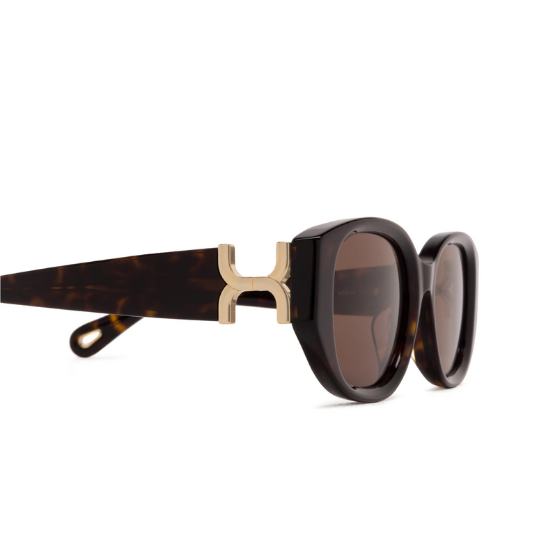Chloé CH0237SK square Sunglasses 002 havana - 3/6