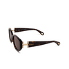 Chloé CH0237SK square Sunglasses 002 havana - product thumbnail 4/6