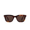 Cubitts AMPTON BOLD Sunglasses AMB-R-DAR dark turtle - product thumbnail 1/4