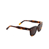 Cubitts AMPTON BOLD Sunglasses AMB-R-DAR dark turtle - product thumbnail 2/4