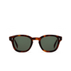 Cubitts CARNEGIE BOLD Sunglasses CAB-R-DAR dark turtle - product thumbnail 1/4