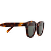 Cubitts CARNEGIE BOLD Sunglasses CAB-R-DAR dark turtle - product thumbnail 3/4
