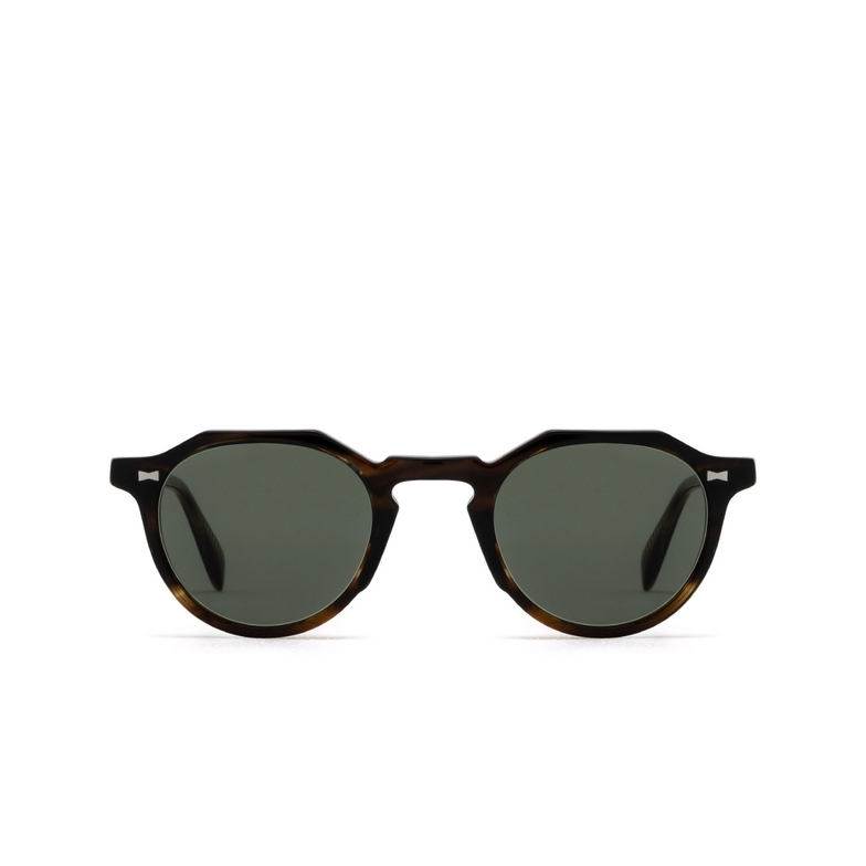 Cubitts CARTWRIGHT II Sunglasses CAT-R-OLI olive - 1/4