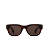 Cubitts KEMBER Sunglasses KEM-R-DAR dark turtle - product thumbnail 1/4