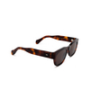 Cubitts KEMBER Sunglasses KEM-R-DAR dark turtle - product thumbnail 2/4