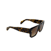 Cutler and Gross 1414 Sunglasses 02 havana - product thumbnail 2/4