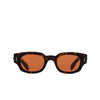 Lunettes de soleil Cutler and Gross SOARING EAGLE 02 havana - Vignette du produit 1/4