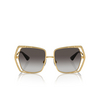 Dolce & Gabbana DG2306 Sunglasses 02/8G gold - product thumbnail 1/4