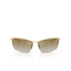 Dolce & Gabbana DG2307 Sunglasses 02/6E gold - product thumbnail 1/4