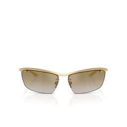 Dolce & Gabbana DG2307 Sunglasses 02/6E gold