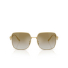 Dolce & Gabbana DG2310 Sunglasses 12246E matte gold - product thumbnail 1/4