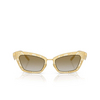 Lunettes de soleil Dolce & Gabbana DG2311 12246E matte gold - Vignette du produit 1/4