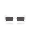 Dolce & Gabbana DG4416 Sunglasses 303487 white - product thumbnail 1/4