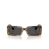 Lunettes de soleil Dolce & Gabbana DG4416 316387 top leo on black - Vignette du produit 1/4