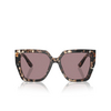 Dolce & Gabbana DG4438 Sunglasses 34387N havana brown pearl - product thumbnail 1/4