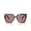 Dolce & Gabbana DG4438 Sonnenbrillen 34387N havana brown pearl - Produkt-Miniaturansicht 1/4