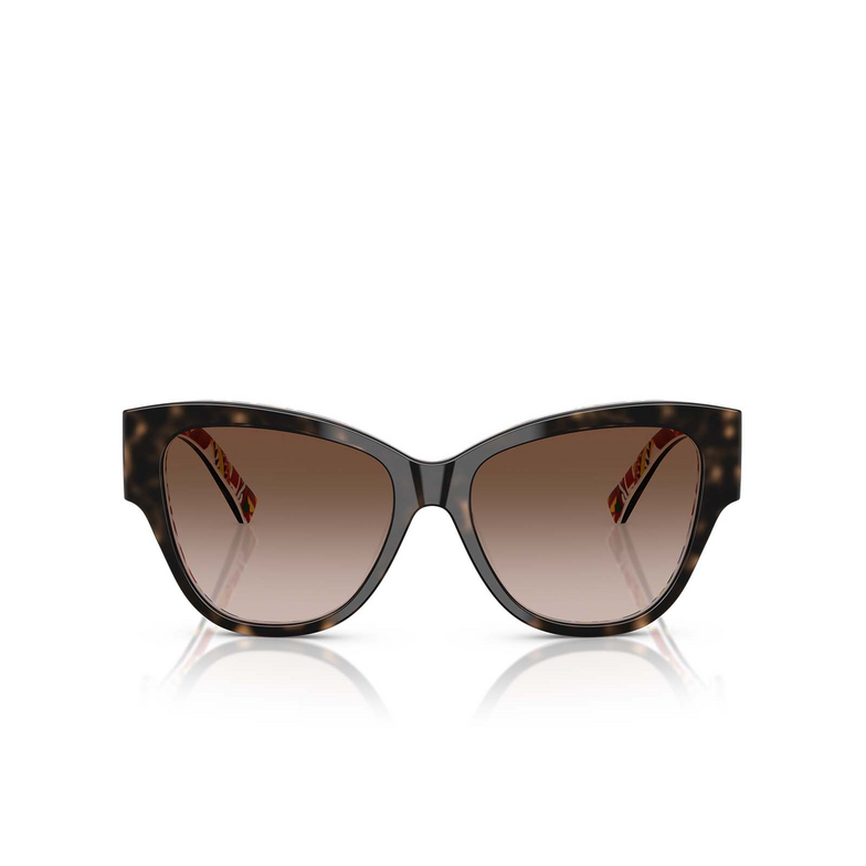 Lunettes de soleil Dolce & Gabbana DG4449 321713 havana on white barrow - 1/4