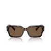 Dolce & Gabbana DG4460 Sunglasses 502/73 havana - product thumbnail 1/4