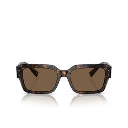 Gafas de sol Dolce & Gabbana DG4460 502/73 havana