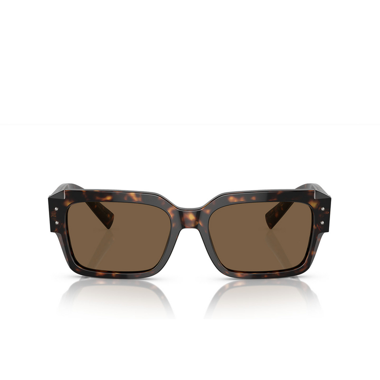 Gafas de sol Dolce & Gabbana DG4460 502/73 havana - 1/4