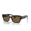 Gafas de sol Dolce & Gabbana DG4460 502/73 havana - Miniatura del producto 2/4