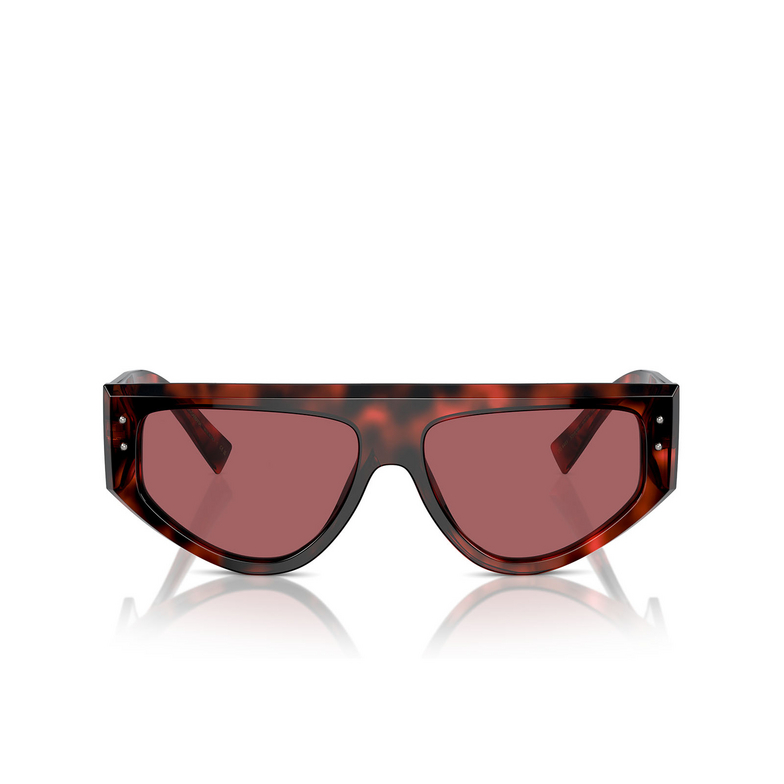 Dolce & Gabbana DG4461 Sonnenbrillen 335869 havana red - 1/4