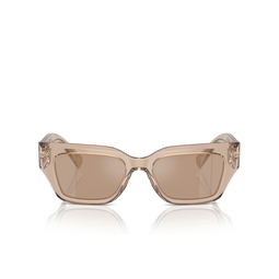 Lunettes de soleil Dolce & Gabbana DG4462 34325A transparent camel