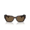 Gafas de sol Dolce & Gabbana DG4462 502/73 havana - Miniatura del producto 1/4