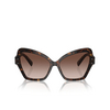 Dolce & Gabbana DG4463 Sunglasses 502/13 havana - product thumbnail 1/4